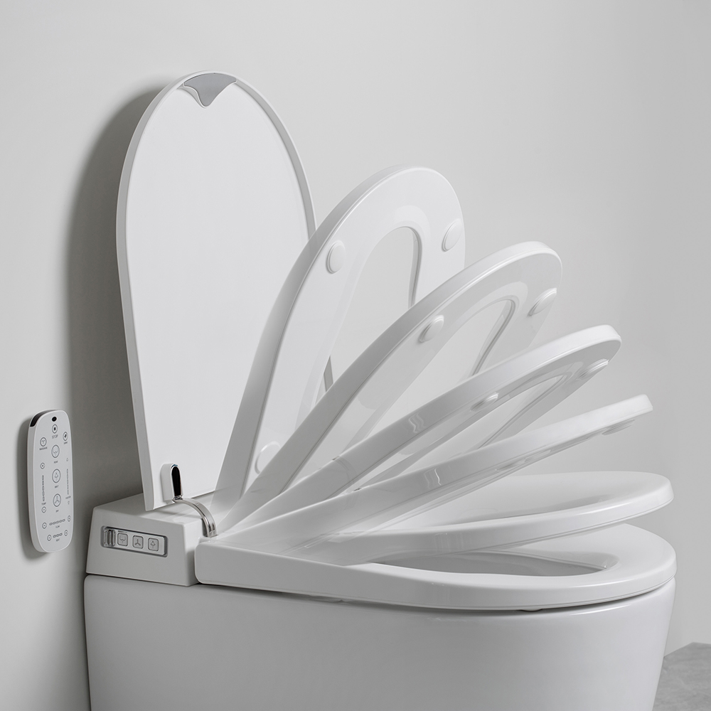 Evo Wall Hung ViSmart Toilet System | Argent Australia