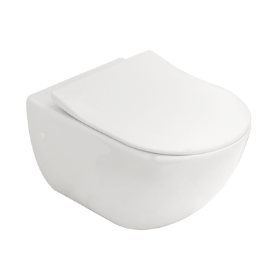 Architectura 2 0 Directflush Wall Hung Toilet Argent Australia