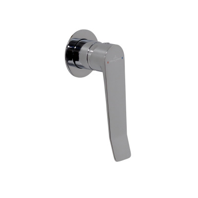 Shower Mixer Tapware | Accessibility | Chrome